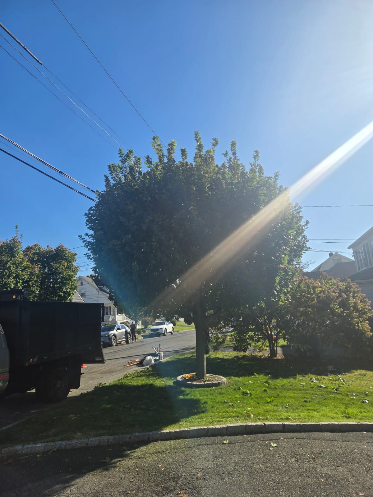 WhatsApp Image 2026-01-13 at 9.46.48 PM